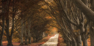 5 Benefits of Using Storytelling in Tech book opened up with a story that merges into a winding road, like a metaphor