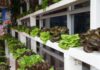 Ways Hydroponic Gardening Benefits Space Travel hydroponic gardening and benefits space travel