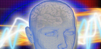 The Benefits of Natural Thinking Assessments to Reach Full Potential drawing of a human head with some transparency to see the brain for natural thinking assessments