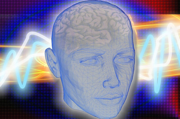 drawing of a human head with some transparency to see the brain