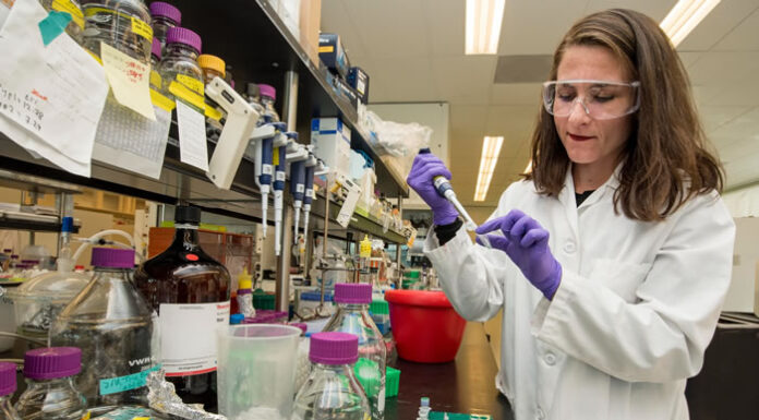 How AI Helps Solve the Challenges Facing SMB Pharmaceutical Companies woman pharmacist working with vials in tech