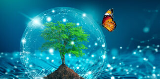 Carbon Removal Technologies – Tech to Save the Earth tree and butterfly cohabiting with a circuit board representing green tech