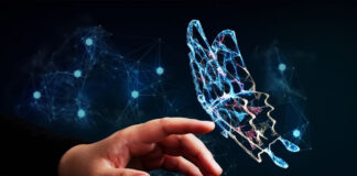 Stop the Transformation Madness human hand reaching out to a digital butterfly representing digital transformation