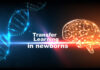 Transfer Learning in Newborns digital representations in human dna and brain illustrations for AI