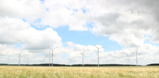 Reducing Overconsumption Critical to Building Circular Economy energy consumption with wind energy