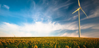 No More Greenwashing: Companies Need Environmental Impact Technology environmental technology with wind turbine in field of sunflowers