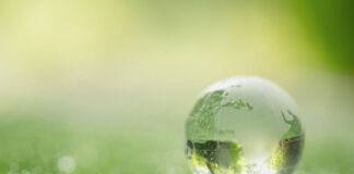 5 Tips to Integrating Innovation Into Business Strategy In 2026 green earth crystal and integrating ESG into your business strategy