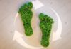 Stepping Towards Sustainability: The Wool Footwear Revolution green footprints made from green trees for the footwear revolution