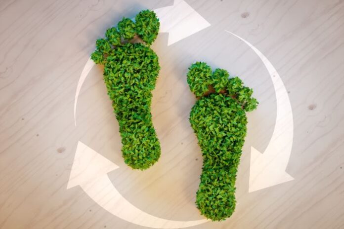 green footprints made from green trees for the footwear revolution