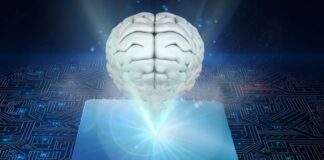 Helping Government Institutions with Knowledge Management human brain levitating over a microprocessor representing government institutions with knowledge management