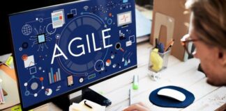 The Evolving Role of Documentation in Agile Development developer working on PC using Documentation in Agile Development