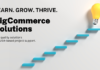 Choosing a BigCommerce Consultant: Expert Tips BigCommerce