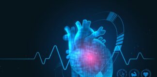 Self-Expanding Pumps: Pioneering Temporary Mechanical Circulatory Support digital representation of Temporary Mechanical Circulatory Support in human heart