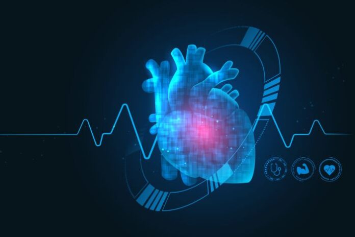digital representation of Temporary Mechanical Circulatory Support in human heart