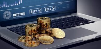 How to Identify That Where to Invest in Crypto Industry Crypto