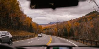 5 Essential Features To Look For In A GPS Vehicle Tracking System  Car riding on highway through autumn forest