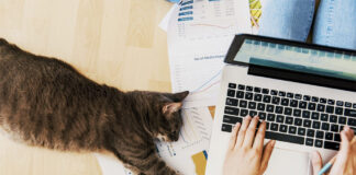 Top 7 Tech-Driven Pet Accessories for Modern Pet Owners Pet Accessories