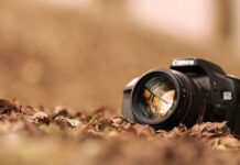 The Absolute GODS of Digital Cameras Right Now Cameras