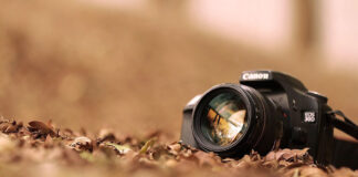 The Absolute GODS of Digital Cameras Right Now Cameras