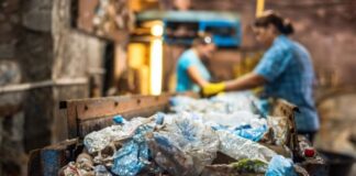 How AI and ML are Shaping the Future of the Recycling IndustryĀ Two workers in the recycling industry sorting recyclables