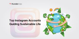 Top 7 Instagram Accounts Guiding Sustainable Life Instagram