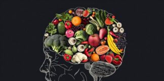 The Importance of Nourishing Our Brains (and the Best Ways to Do It) A chalk drawing of a head profile, with colorful fruit showing nourishing our brains