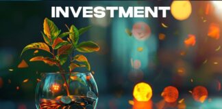 Top Methods for Generating Consistent Financial Growth financial growth represented by a plant in a glass bowl with coins