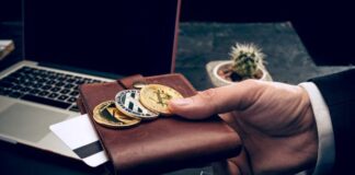 Unlocking the Future of Finance: AI-Integrated Smart Crypto Wallet hand holding wallet and bitcoins for AI-Integrated Smart Crypto Wallet