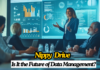 NippyDrive: Is It the Future of Data Management? Nippy Drive