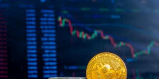 Maximize Crypto Trading: Master Exchange Landscape for Best Results Bitcoins in front of finance graph of exchange landscape