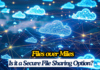 Files over Miles: Is it a Secure and Efficient File Sharing Option? files over mile
