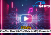 YTMP3: Can You Trust this Free YouTube to MP3 Converter? YTMP3