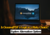 OceanofPDF: A Legit or Risky Choice? OceanofPDF