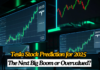 Tesla Stock Prediction 2025: The Next Big Boom or Overvalued?