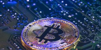 Cheapest Crypto or Popular Options to Invest in Forex Deep Analysis a gold Bitcoin siting on a circuit board representing the cheapest crypto investments