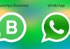 WhatsApp vs. WhatsApp Business: Which Is Right for You? WhatsApp
