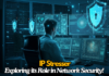 IP Stresser: Exploring its Role in Network Security! IP Stresser
