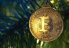 The Importance of Cryptocurrency in Developing Countries Bitcoin helps developing countries, shown hanging on evergreen tree showing