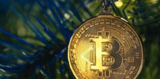 The Importance of Cryptocurrency in Developing Countries Bitcoin helps developing countries, shown hanging on evergreen tree showing