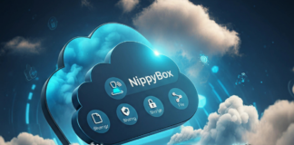 NippyBox: Its Cloud Storage Features Worth Your Attention? NippyBox