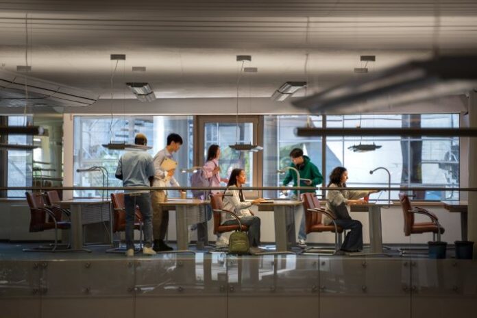 workers in office with light cognitive load due to AI tools