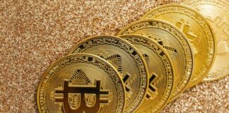 The Future of Bitcoin: Blockchain’s Impact on the Tech Industry The future of Bitcoin shown with gold bitcoins laying on carpet