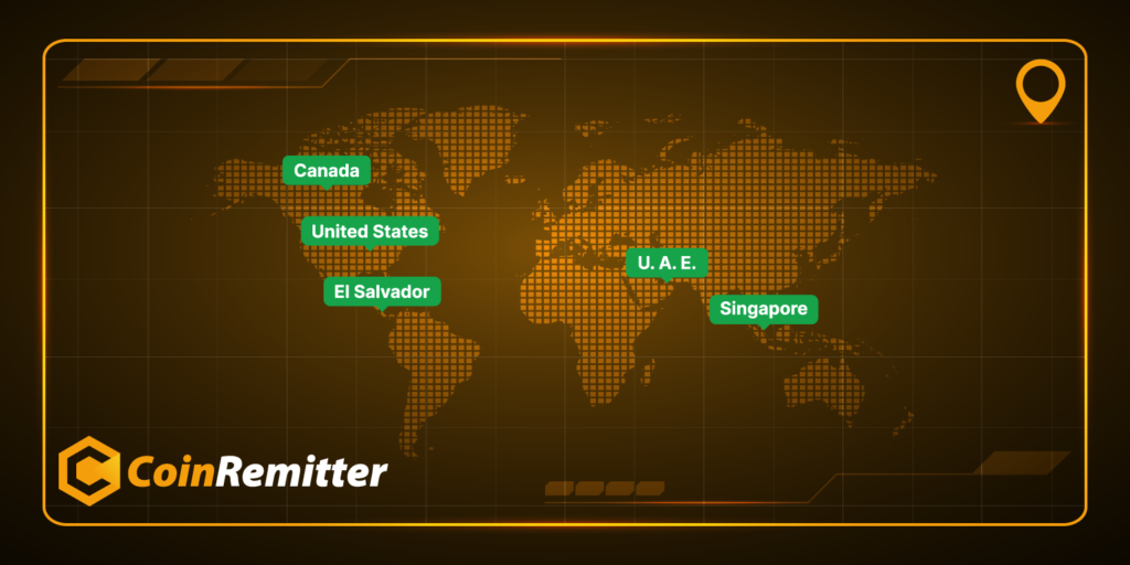 CoinRemitter screenshot of the world