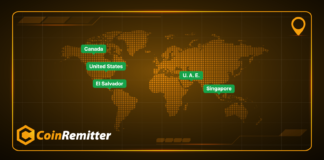 5 Countries Where Coinremitter Excelled as a Crypto Payment Gateway