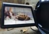 AI Video Generator Transforms Images and Text into Dynamic Visuals An AI video generator can turn images into video, shown with a toad in a camera view