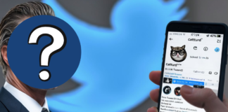 Catturd Twitter: Revealing Secret Identity Behind Viral Tweets Catturd Twitter