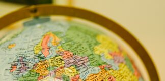 Navigating Global OEM Markets: Insights for Procurement Professionals Global OEM Markets