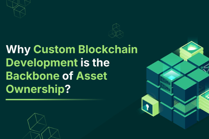 screenshot that says, "why custom blockchain development is the backbone of asset ownership?"