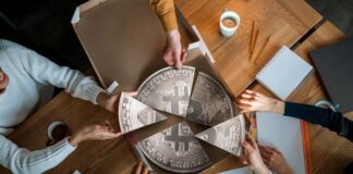 Crypto Diversification for 2025: Build a Balanced Portfolio That Thrives crypto diversification shown with people slicing a bitcoin like a pizza