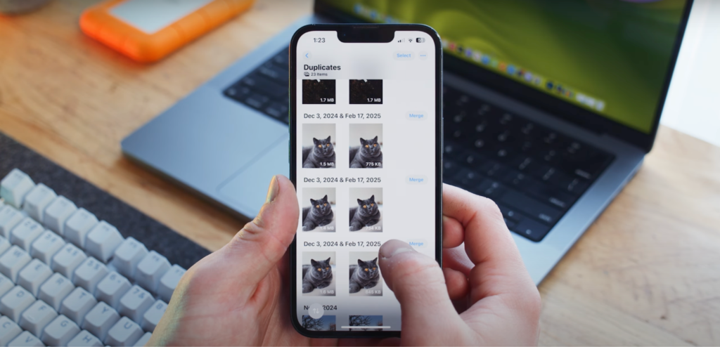 person working to organize photos of cats on iPhone